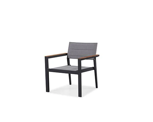 25300A single sofa.jpg